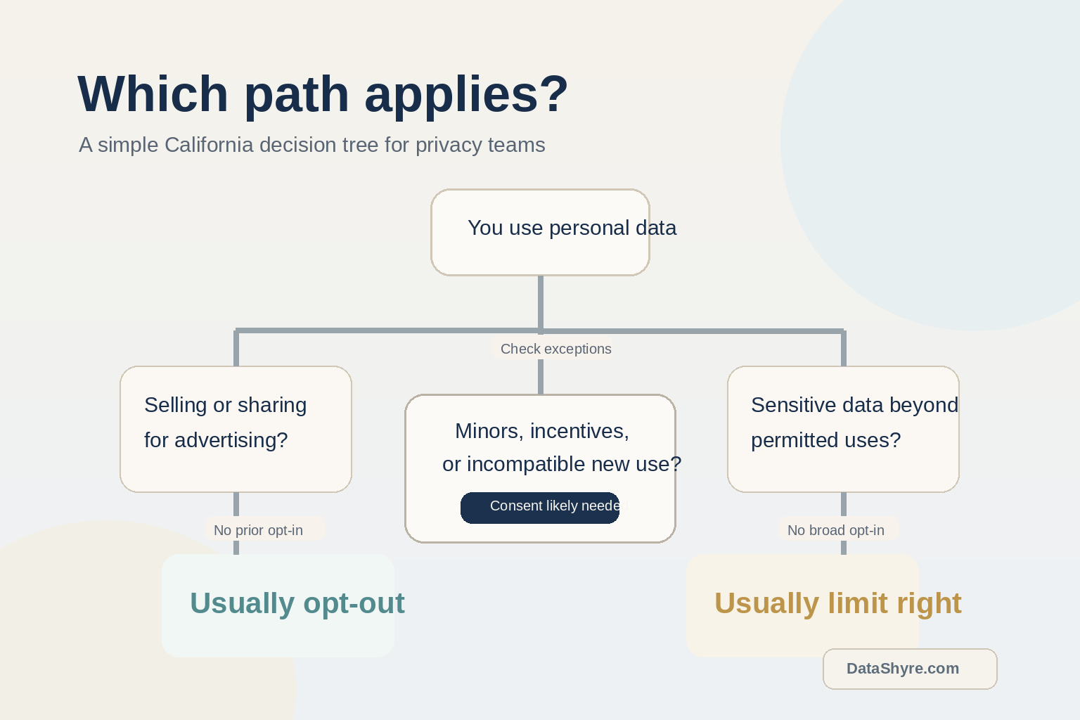 Decision-tree visual showing opt-in, opt-out, limit, and notice paths with subtle DataShyre.com branding